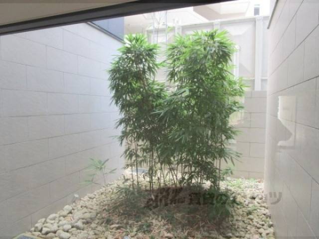 植栽