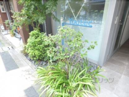 植栽