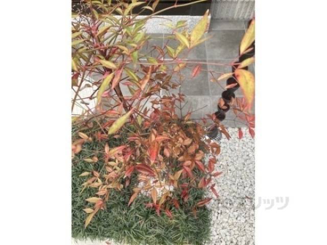 植栽