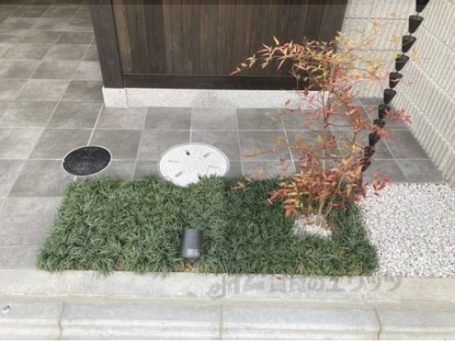 植栽