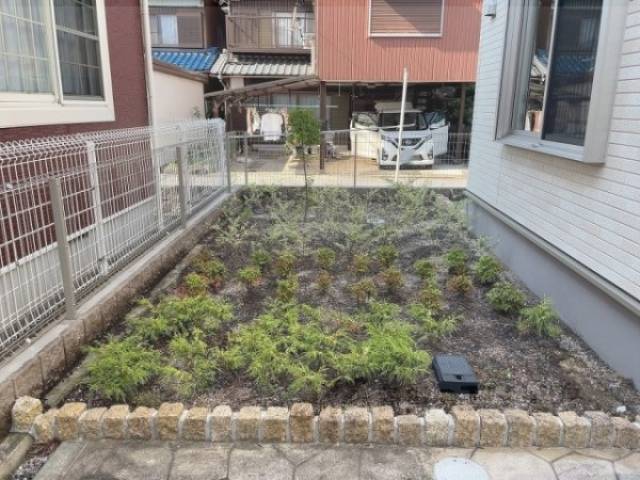 植栽