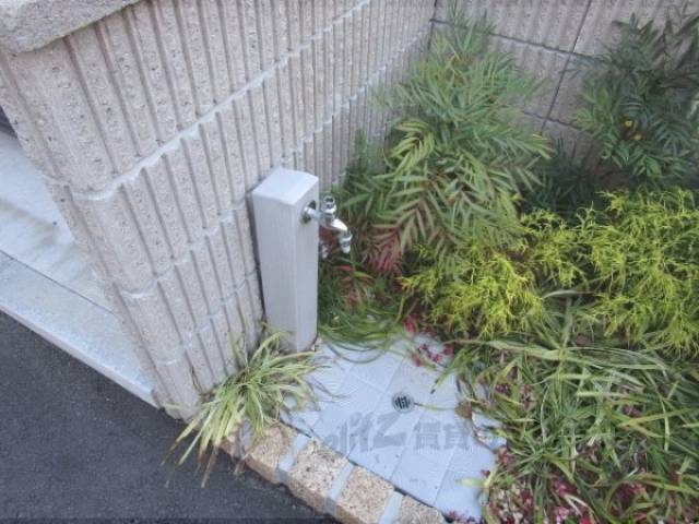 水栓
