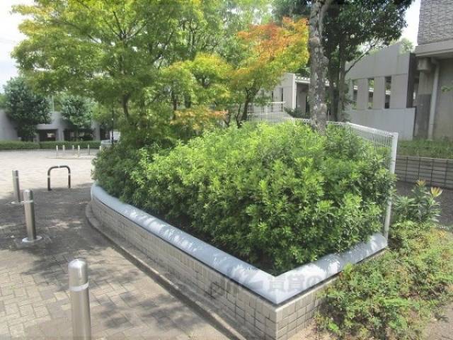 植栽