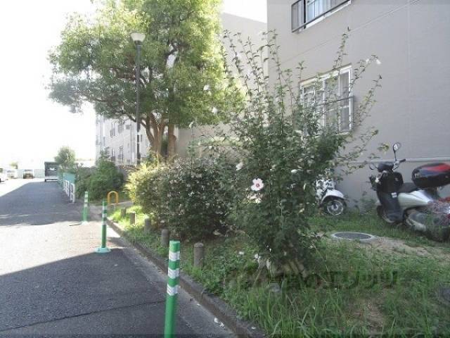 植栽