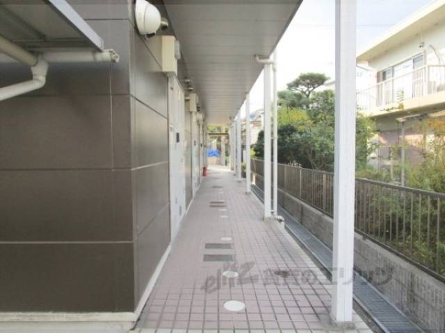 通路