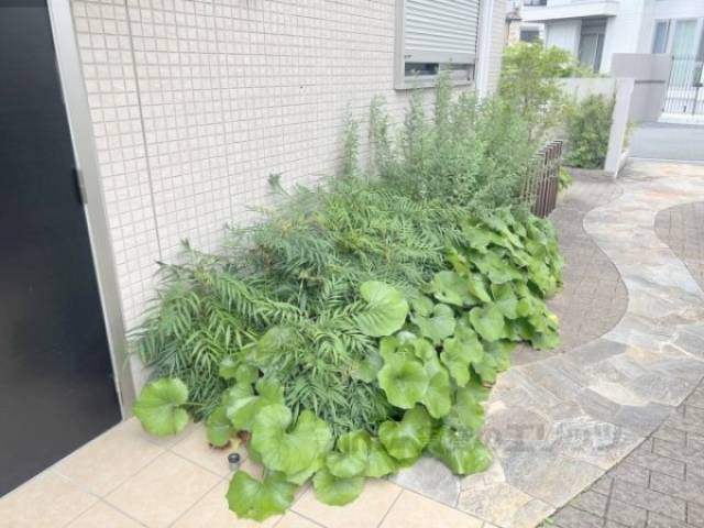 植栽