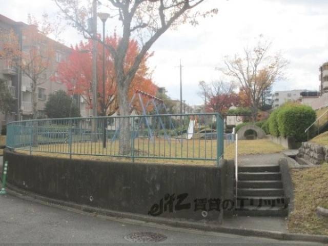 公園