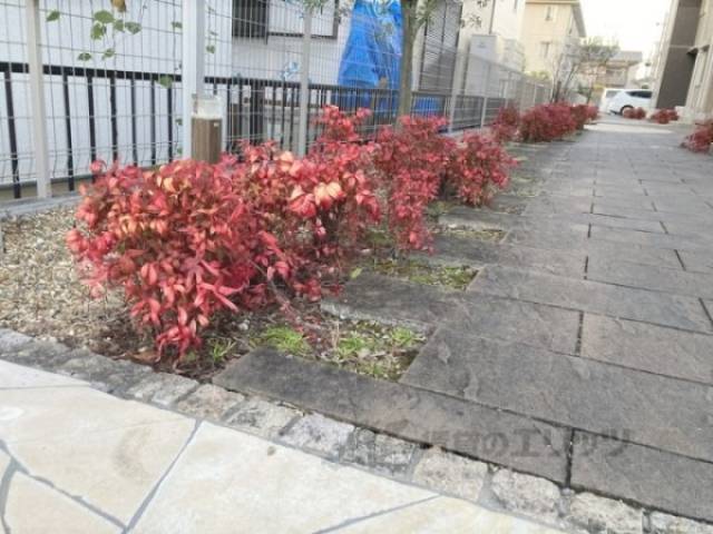 植栽