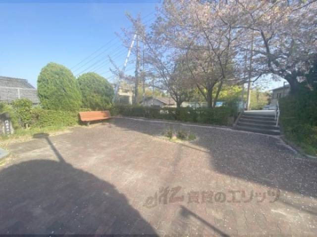 公園