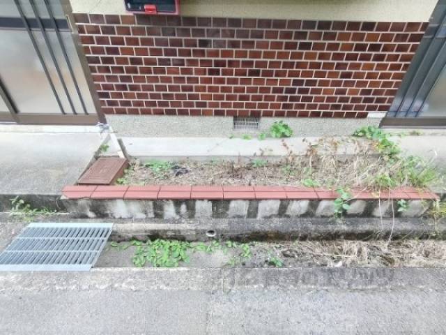 植栽
