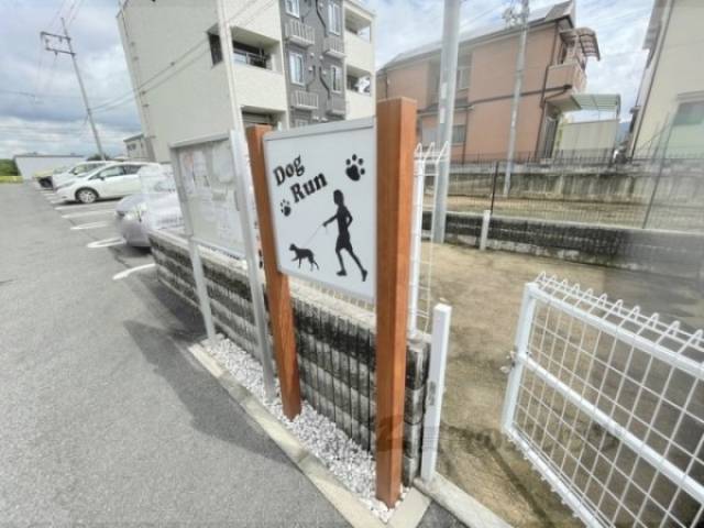 ドッグラン