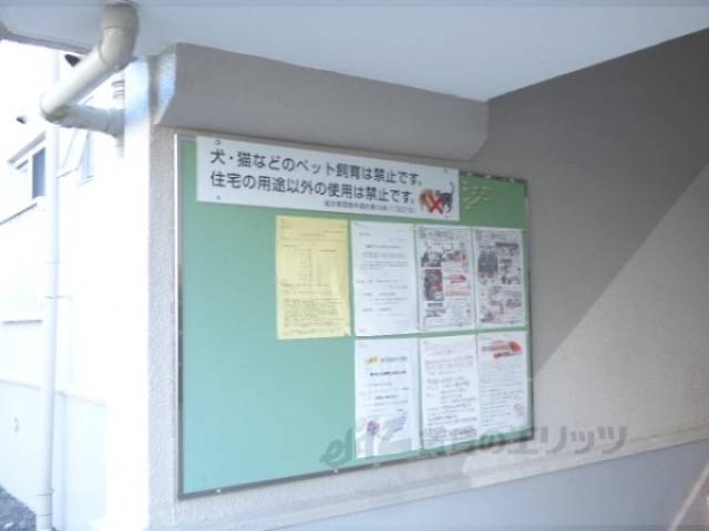 掲示板
