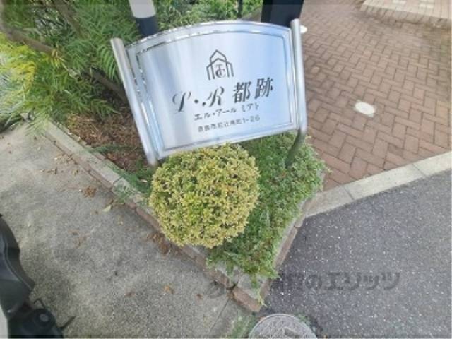 植栽