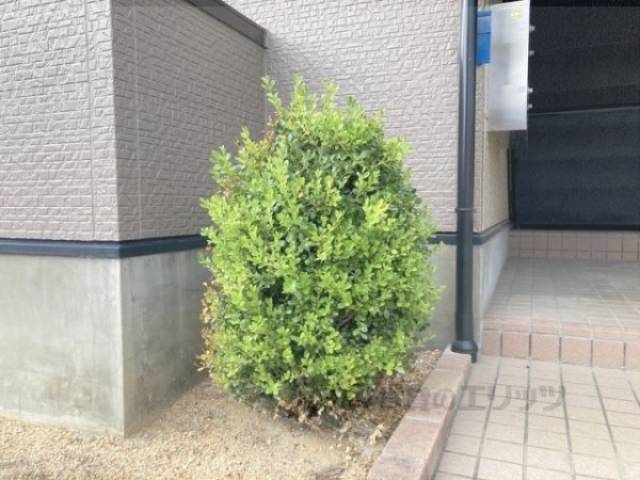 植栽