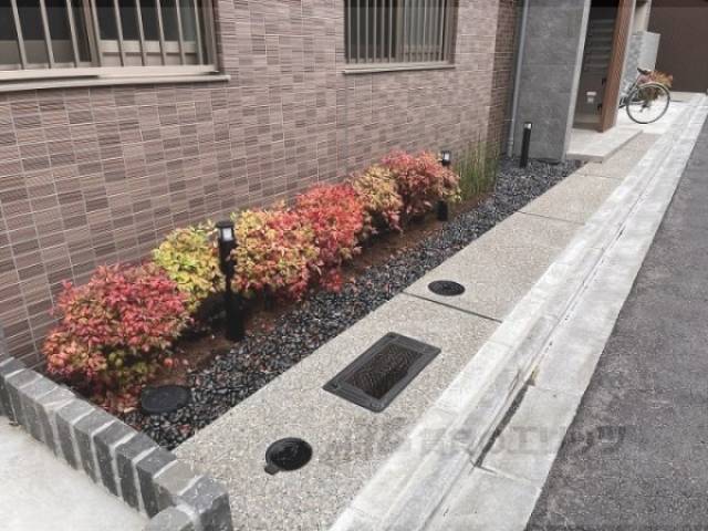 植栽