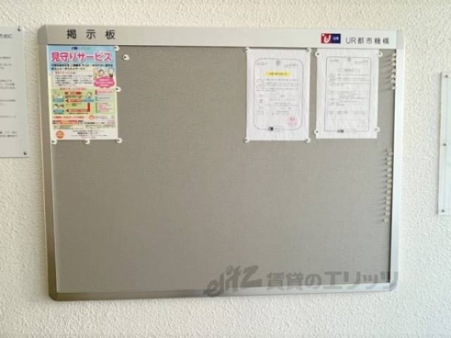 掲示板
