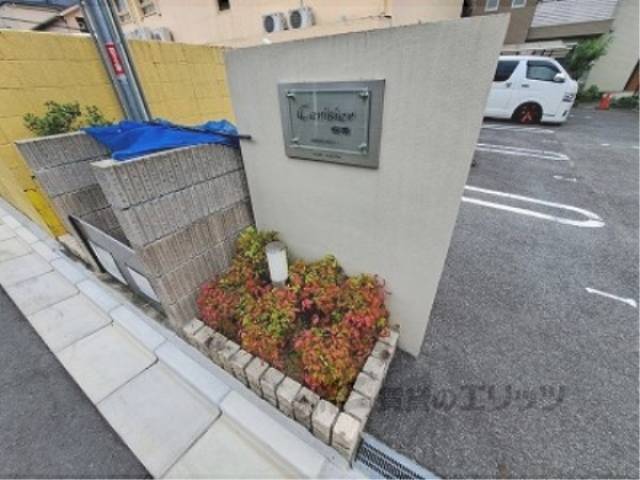 植栽