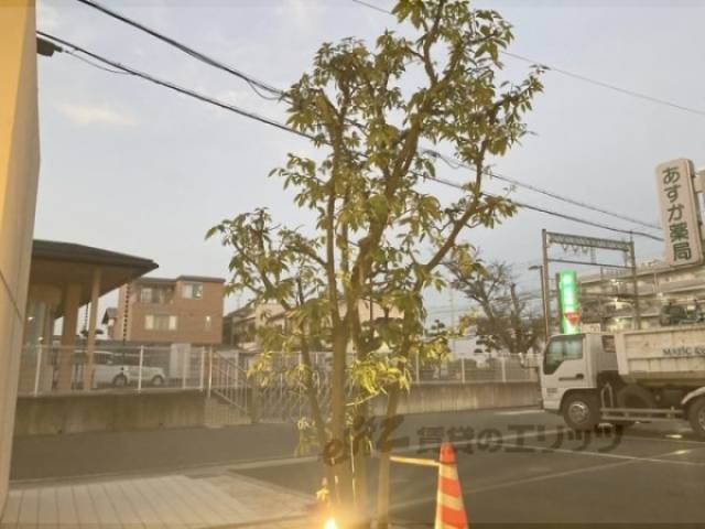 植栽