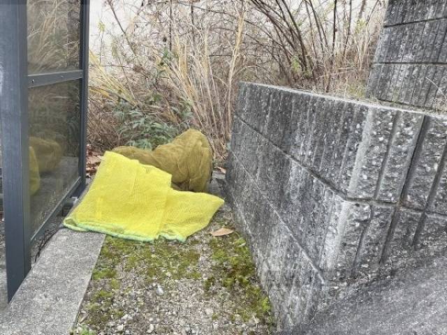 ゴミ置き場