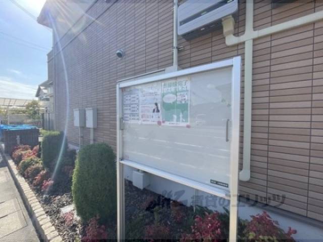 掲示板