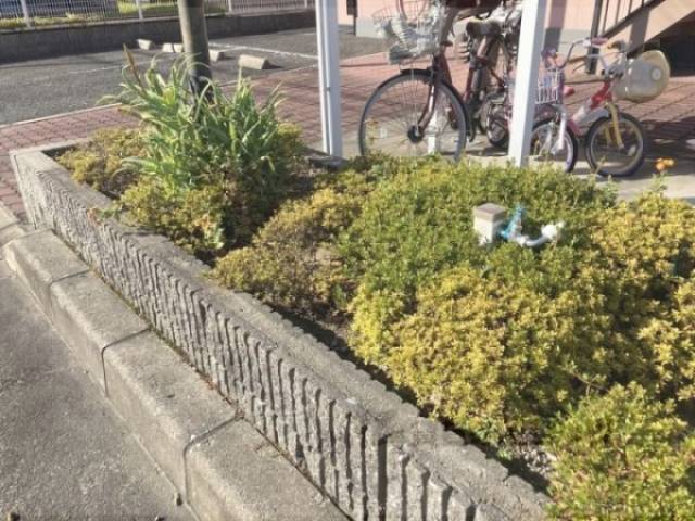 植栽