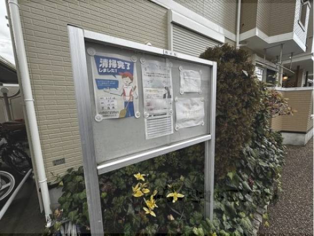 掲示板