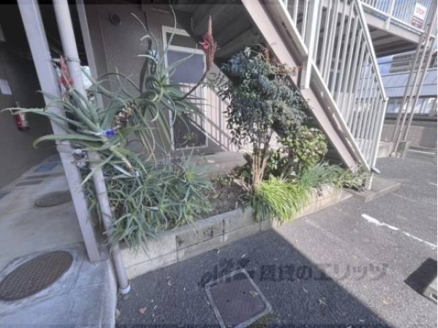 植栽