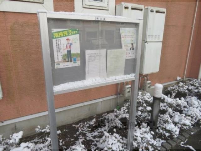 掲示板