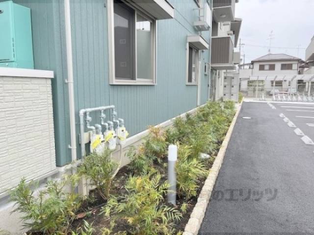 植栽
