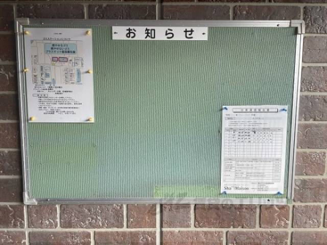 掲示板
