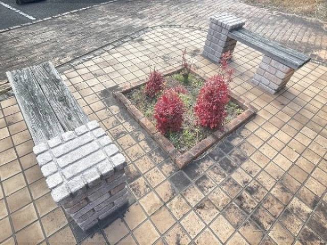 植栽