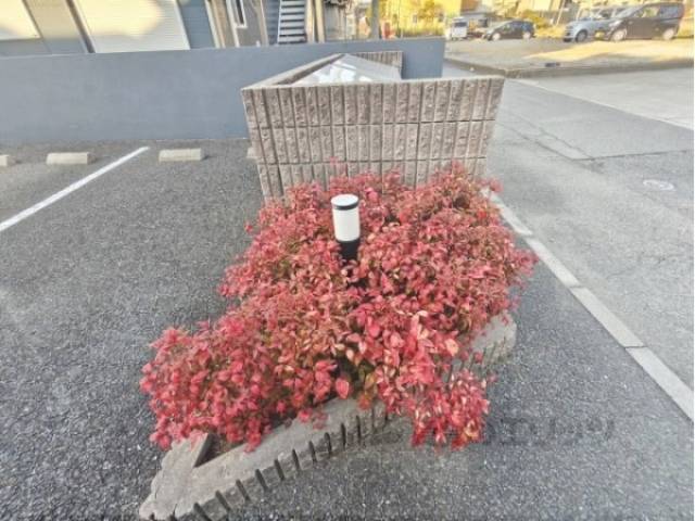 植栽