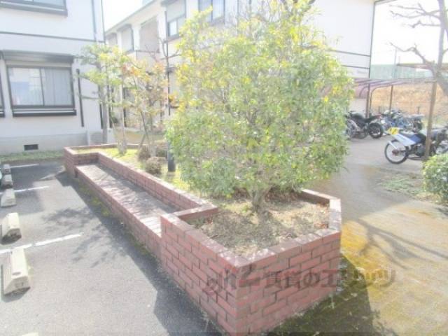 植栽