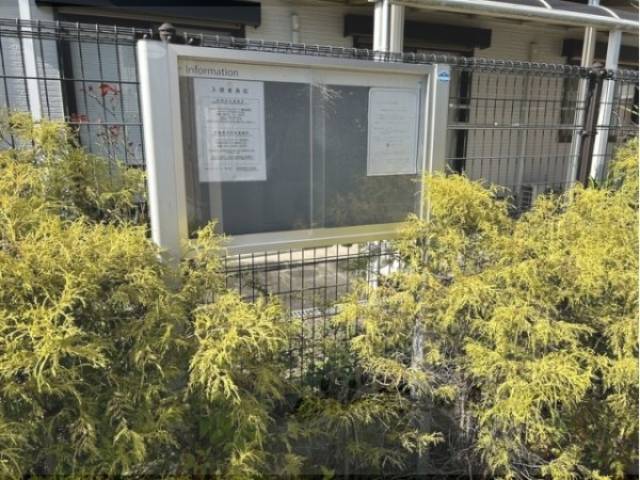 掲示板