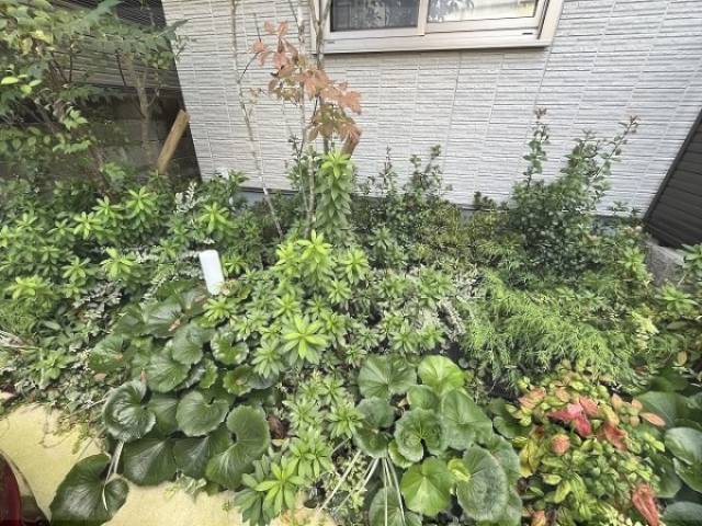 植栽
