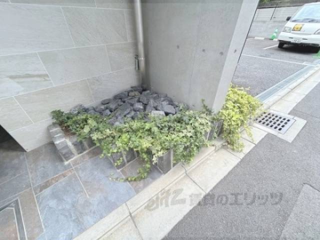 植栽