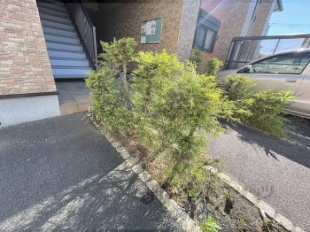 植栽
