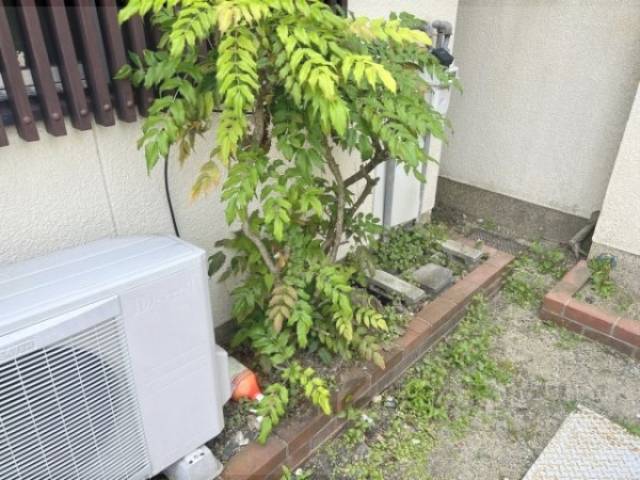 植栽