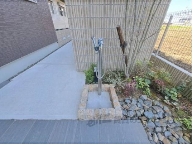 シャワー