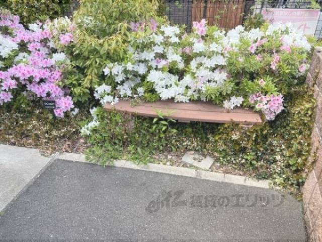 ベンチ