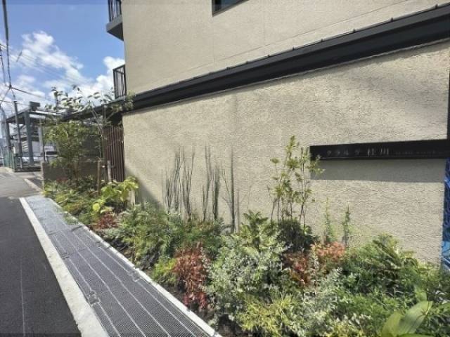 植栽