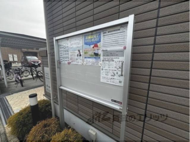 掲示板