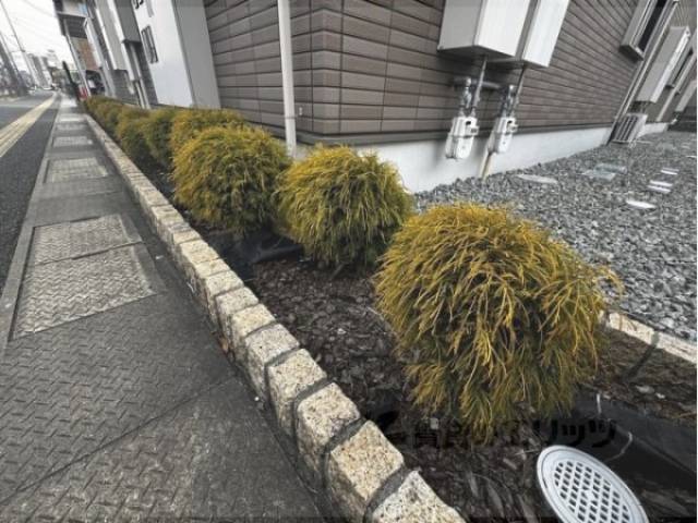 植栽
