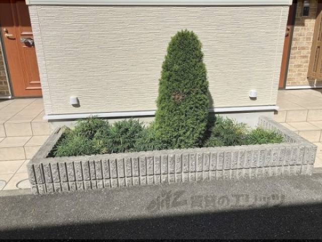 植栽