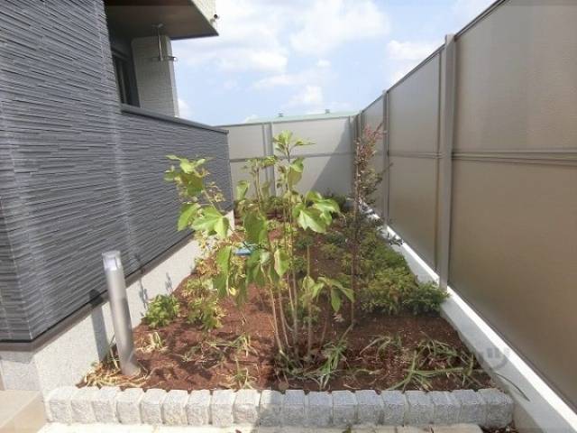 植栽