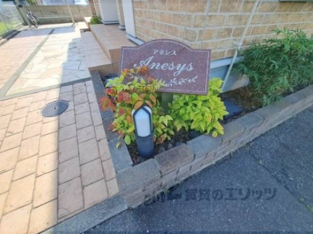 植栽