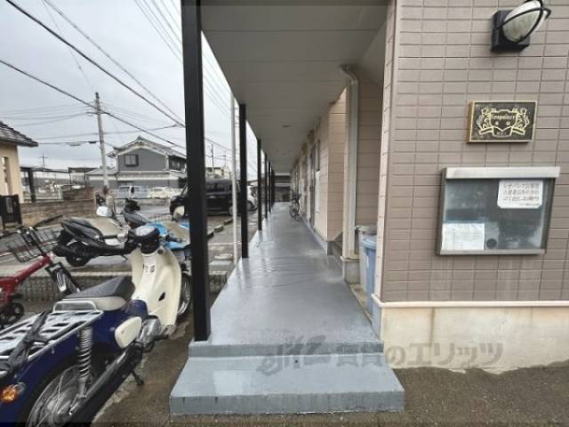 通路