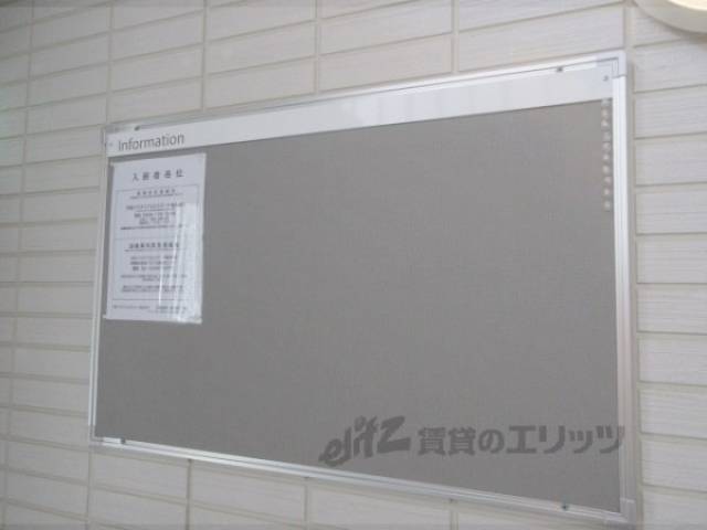 掲示板