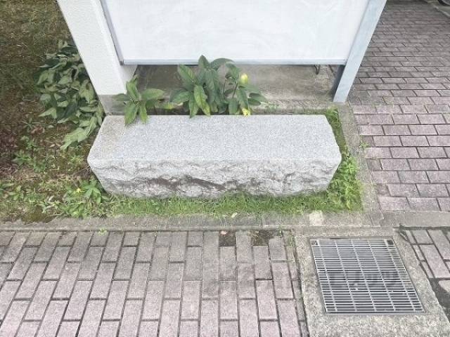 ベンチ