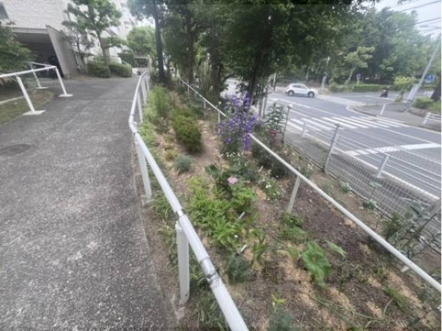 植栽